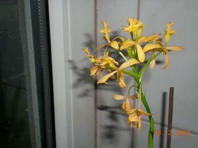 DSCN61030001.JPG