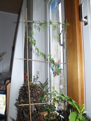 DSCF4653.JPG
