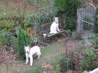 Größenänderung IMG_1217.JPG