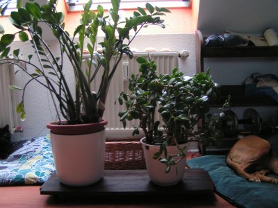 PICT1469.JPG