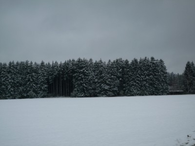 Blick auf Doswald.JPG