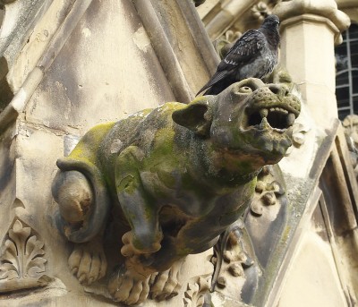 ....also wirklich, kein respekt!.jpg