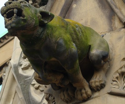 wieso kuckt der denn so grimmig......jpg