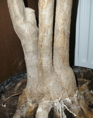 BILD0144.JPG
