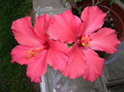 DSCN0740.JPG