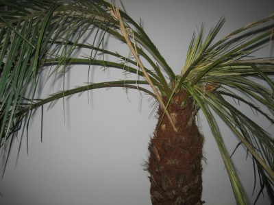 Bild 2.jpg