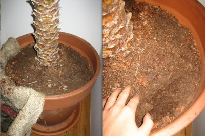 Bild 3.jpg
