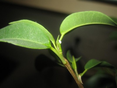 IMG_5706 (Large).jpg