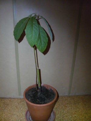BILD0235.JPG