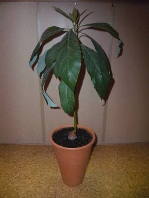 BILD0229.JPG