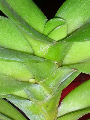 RSCN61430001.JPG