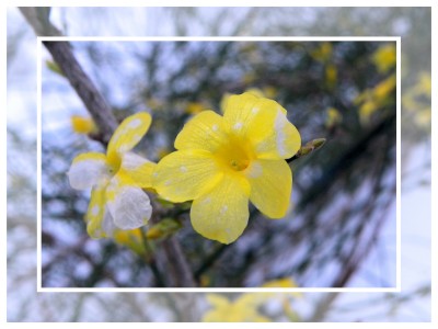 2009-12-21 073kl.jpg