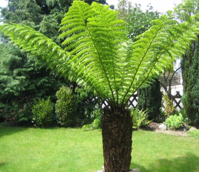 20090713_0001_3.JPG