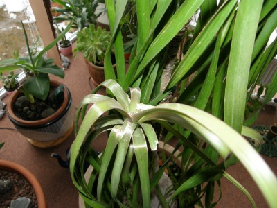 PC231705.jpg