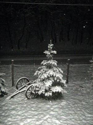 Weihnachten und Sylvester 08 007.jpg
