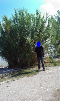 IMAG0037.jpg