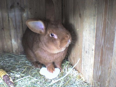 DSC00005.JPG