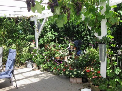 Größenänderung IMG_0991.JPG