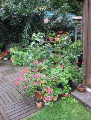 Größenänderung IMG_1121.JPG