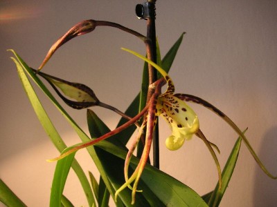 PICT0252.jpg
