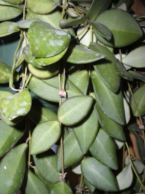 BILD0346.JPG