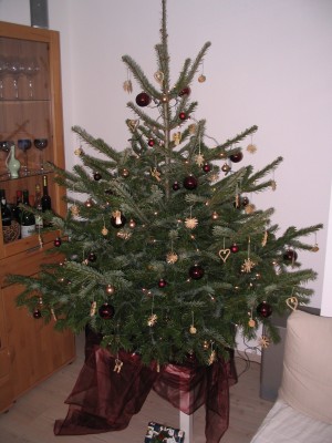 Weihnachtsbaum 2009.jpg