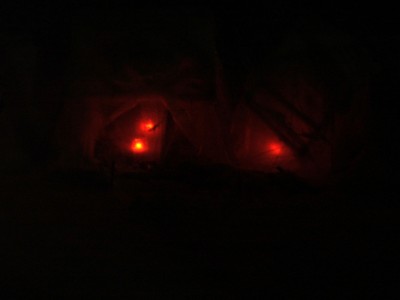 3.1.2010.jpg