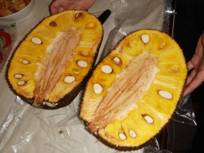 Jackfrucht 018.jpg