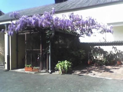 17-04-07_1231.jpg