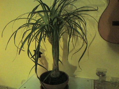 phot-0006.jpg