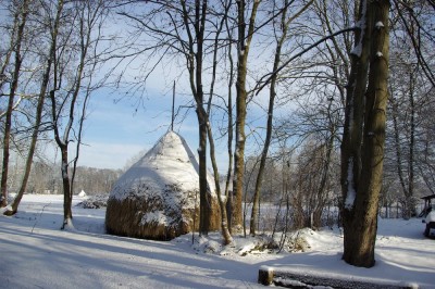 Winter6.jpg