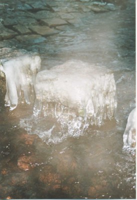 img022.jpg