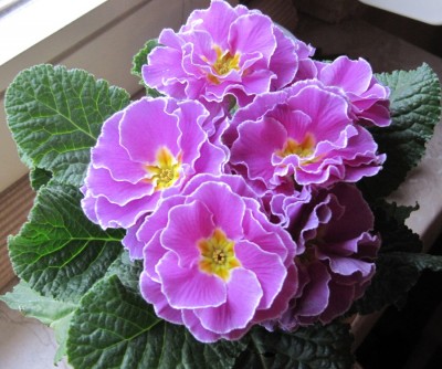 foto_ 011.jpg