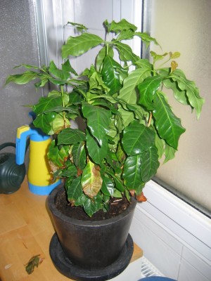 IMG_1457.JPG