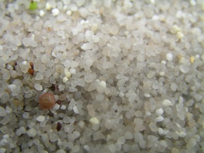 heutea 037.JPG