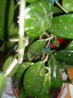 100D7701.JPG