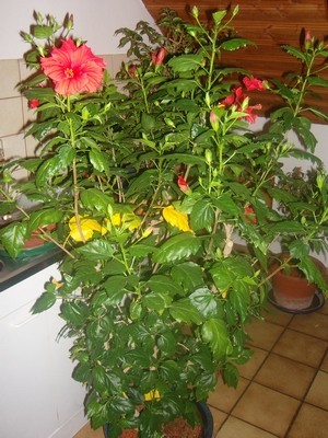 100D7400.JPG