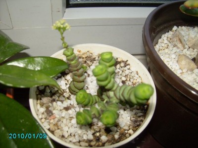PICT0231.JPG