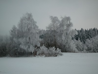 Winterlandschaft.JPG