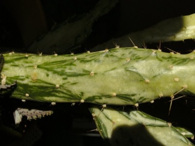 BILD0172~1.JPG