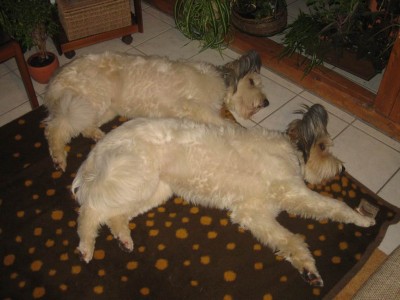 Größenänderung IMG_1410.JPG