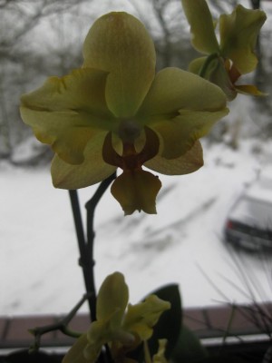 Größenänderung IMG_1456.JPG