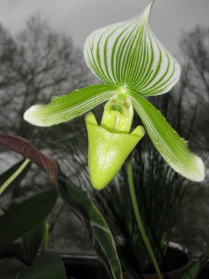 Größenänderung IMG_1460.JPG