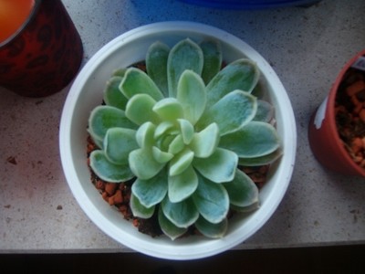 100D7551.JPG