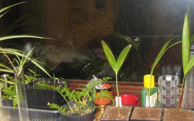 20100111_0001_4.JPG