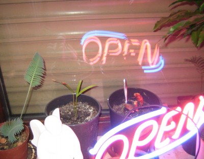 20100111_0001_2.JPG