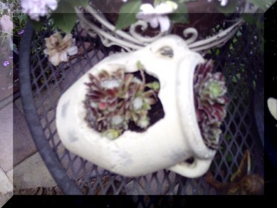 PICT0051.JPG