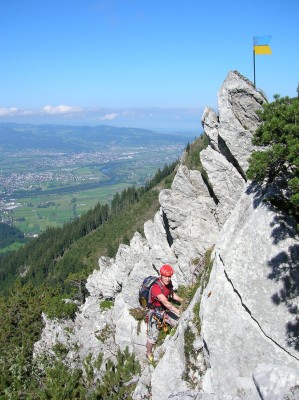 Löwenzähne 05.09.2006  024.jpg