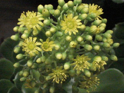 DSC08643.JPG