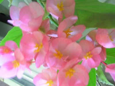 DSCN1156.JPG